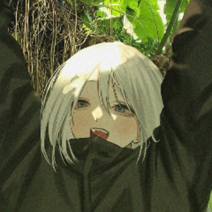 akiaims