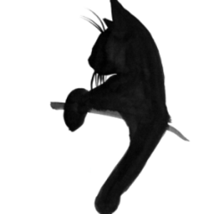 akiitty47