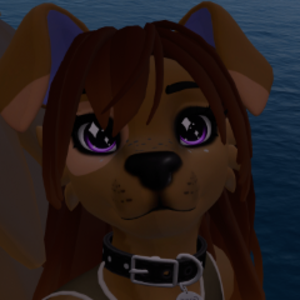 AshleyTheCollieOwO