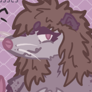 AsterOpossum
