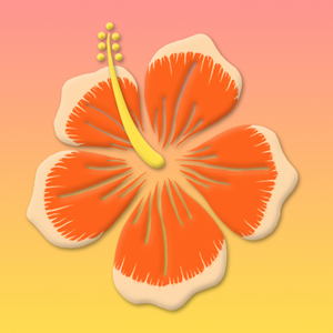 b0r0_PL