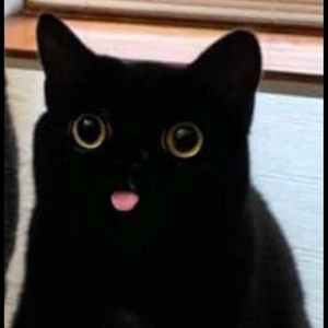 Pawla