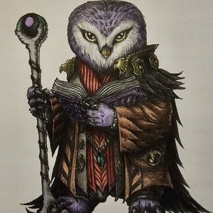 Beranabus01