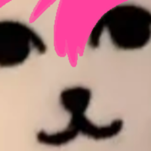bowwowzers