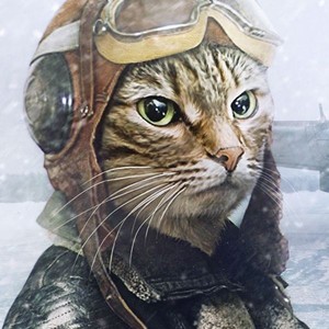 CaptainCats42
