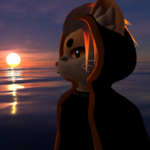 CatBoyAury