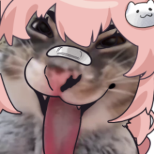 catsinni