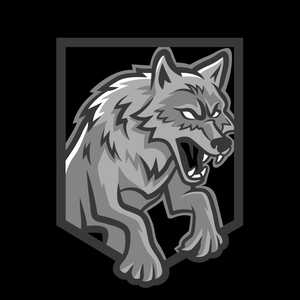 ChaosTheHybrid