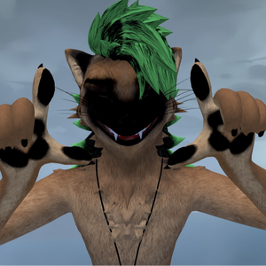 Chaotic_Shep
