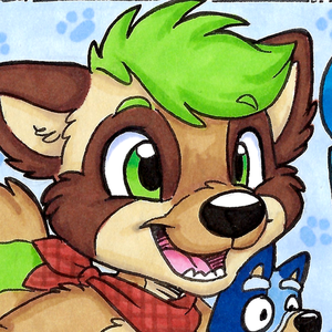 ChaseRaccoon
