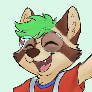 ChaseRaccoon