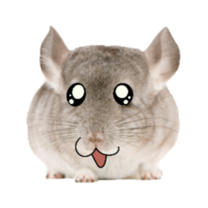 ChinchillaxMD
