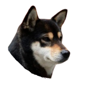 cobeznero