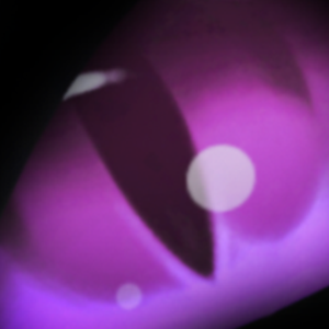 D_e_l_y