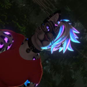 dee_kitty