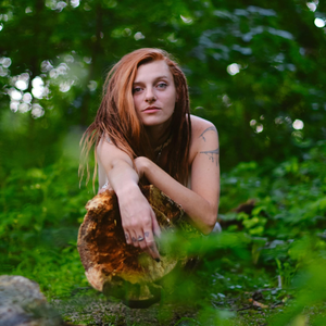 druiddreams