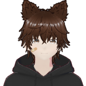 dux_ferryvt