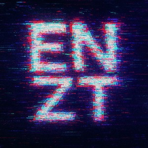 Enzainity