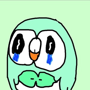 fcc_petitshiny