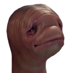 FinleyFisch