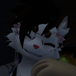 FloofBallVR
