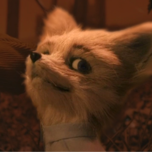 Foxander
