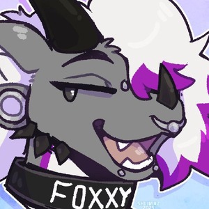 FOXYKIN