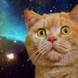 fr0wncat