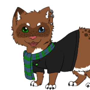 FurryMetalFerret