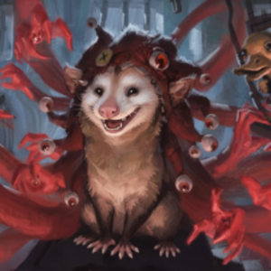Ganira_The_Opussum