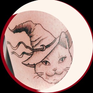 gato_cochino_