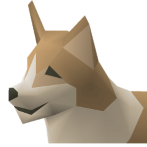 GoodBoyRoxy