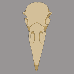 GreyQrowe