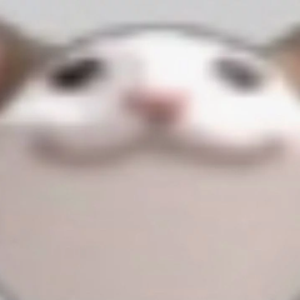 hacchi_ko