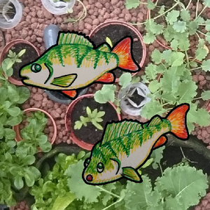 Hanaconda_Aquaponics