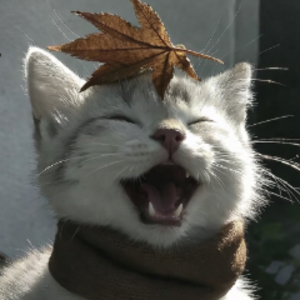 imsoosleepie