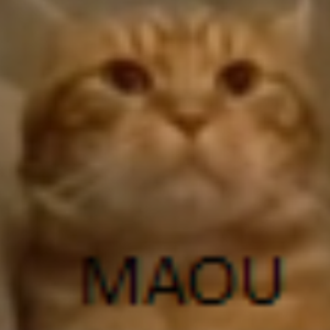 IronMaou