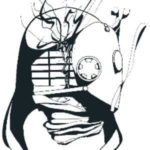 Ivoireveil