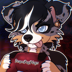 JasperPup_VT