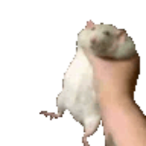 JTPaps