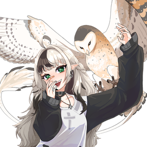 kaidasworld