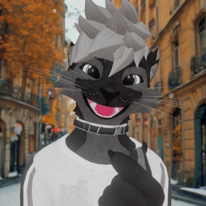 kaitopawz