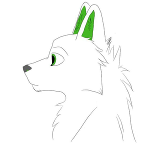 KankosWolf