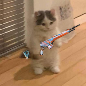 KarlK_VT