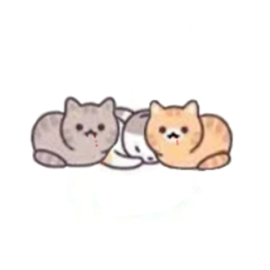 killer_catss
