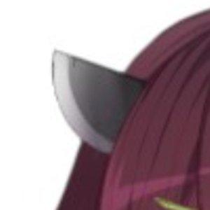 東北_きりたん
