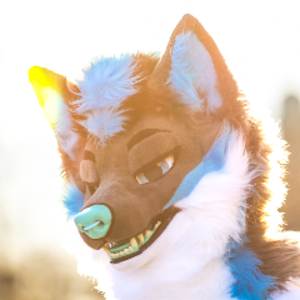 KobiiHusky
