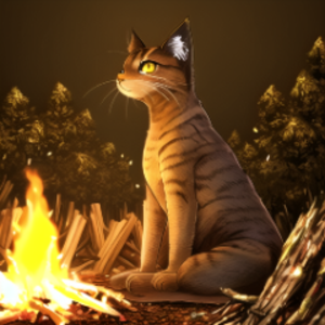Kot_Nogato