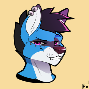 KriegarWolf