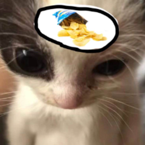 lawlijs